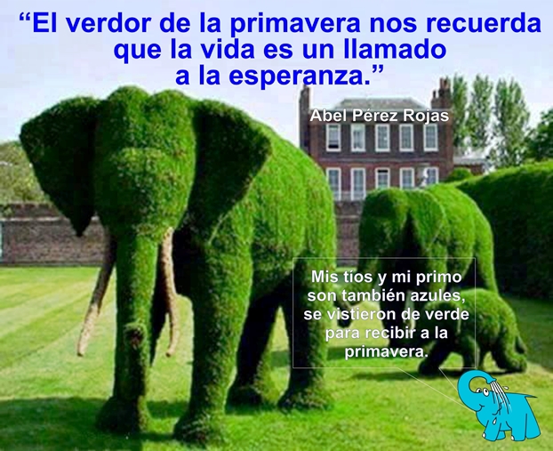 Una Enseñanza de Abel Pérez Rojas en la Frase del Día del Elefante Azul de Avilés.
